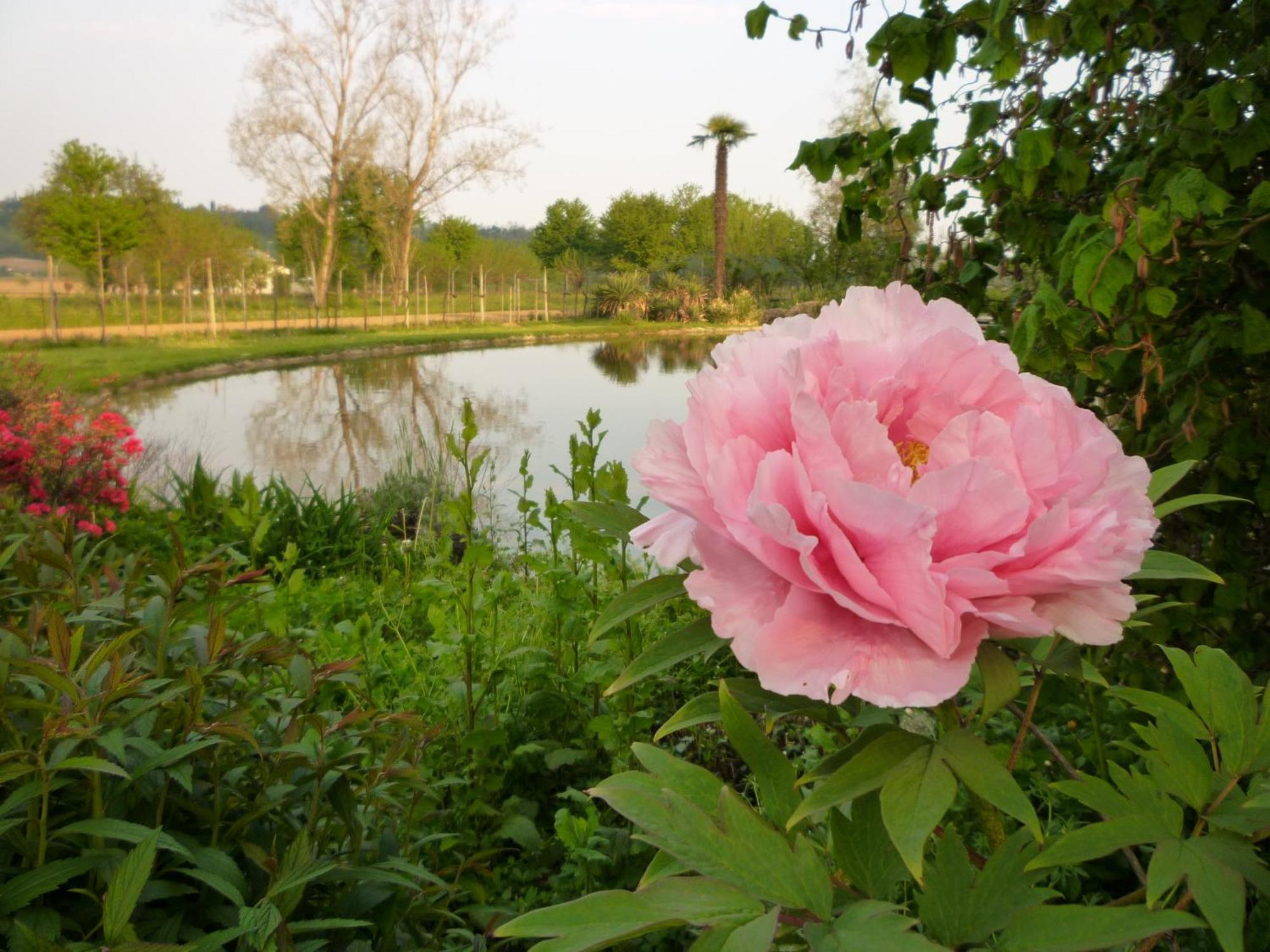Country House Barone D'Asolo Exteriér fotografie